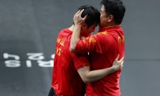 米兰体育入口-日本队险胜瑞典队，樊振东扛起全队的简单介绍