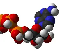 包含四中坚关键角色善用,球队齐心协力奏响胜利乐章的词条 包含四中坚关键角色善用,球队齐心协力奏响胜利乐章的词条