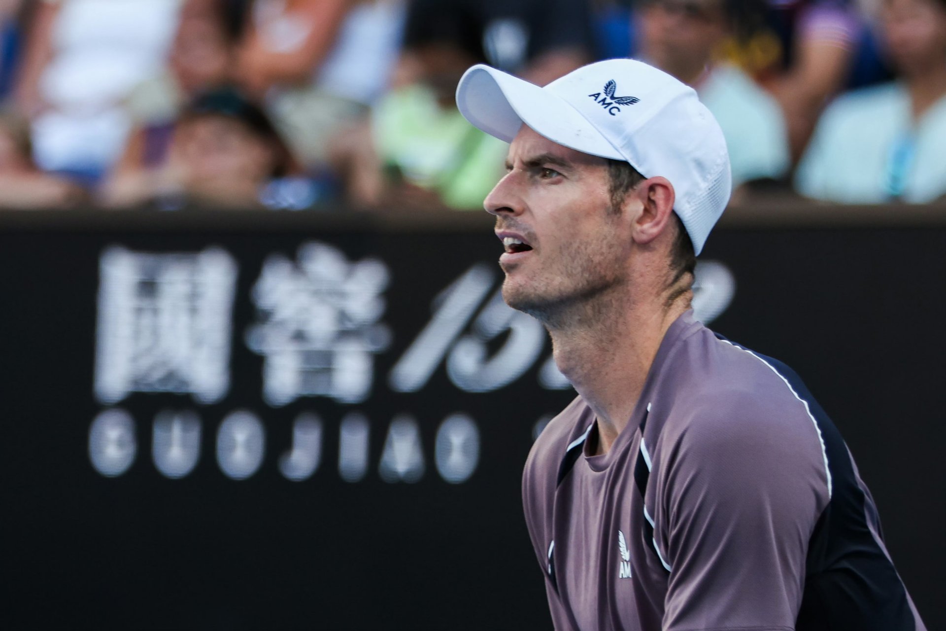 年终总决赛力克澳网,穆雷关键制胜的简单介绍 年终总决赛力克澳网,穆雷关键制胜的简单介绍