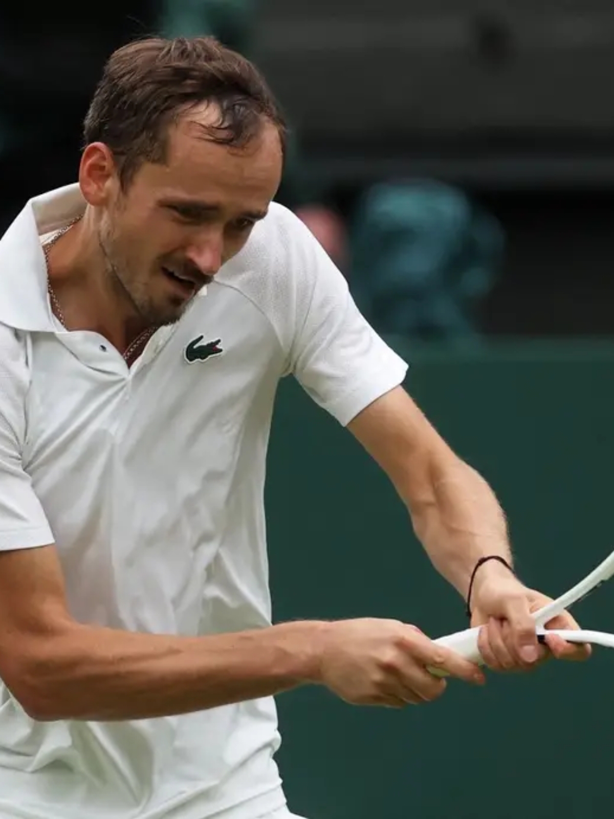 包含戴维斯杯碾压年终总决赛，梅德韦杰夫状态火热的词条