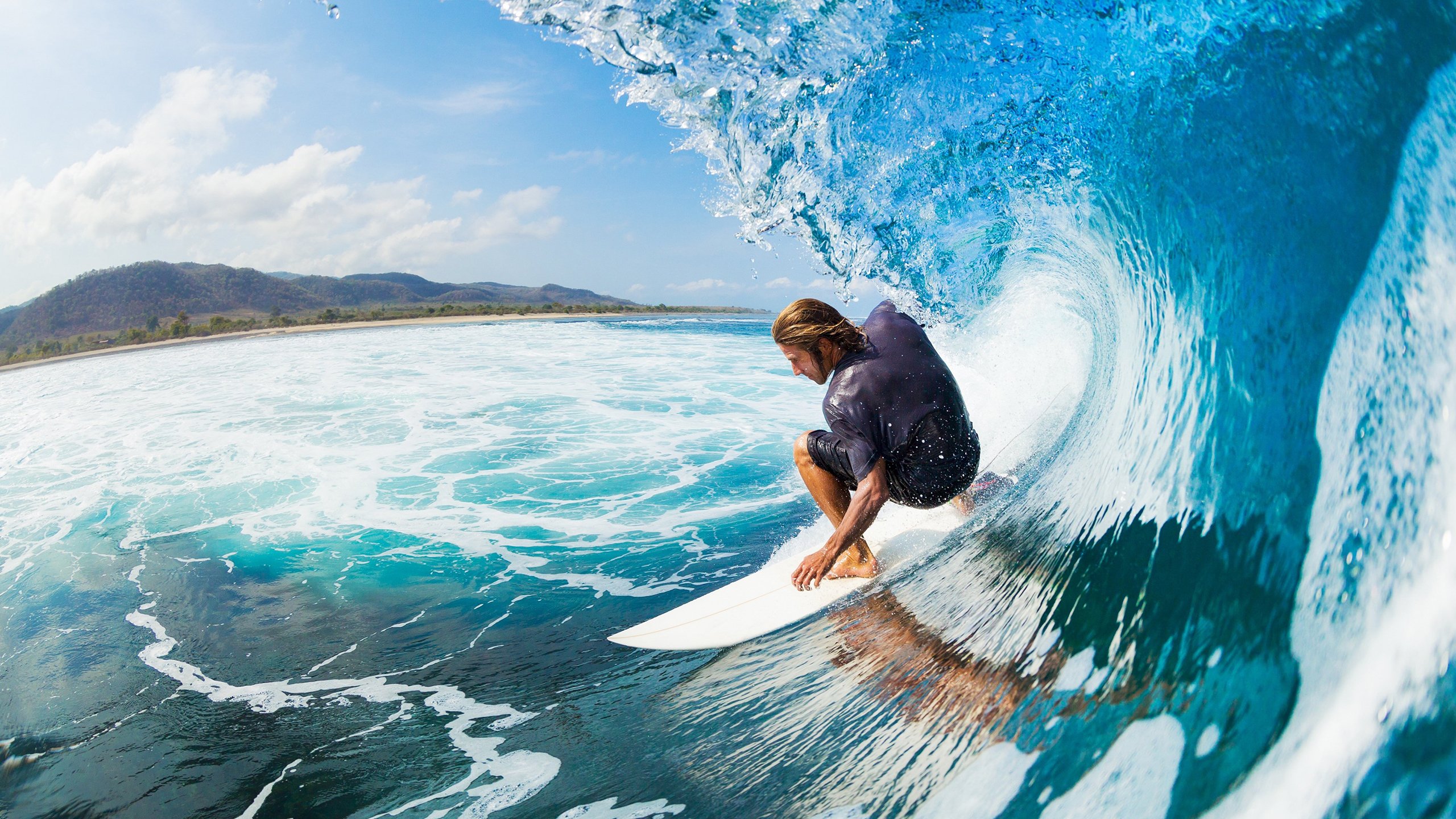 武切维奇数据全面爆炸！黄蜂主场力克骑士，全能中锋展现统治级表现